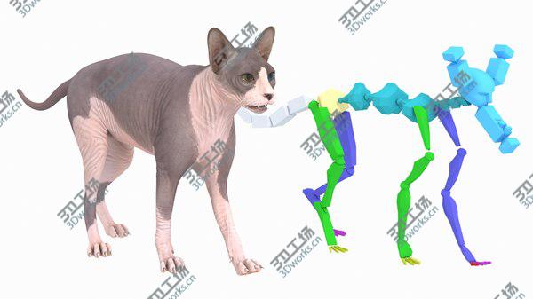images/goods_img/20210312/3D Sphynx Cat with Heterochromia Rigged/5.jpg